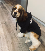 Load image into Gallery viewer, Pet LEGEND Pullover Hoodie